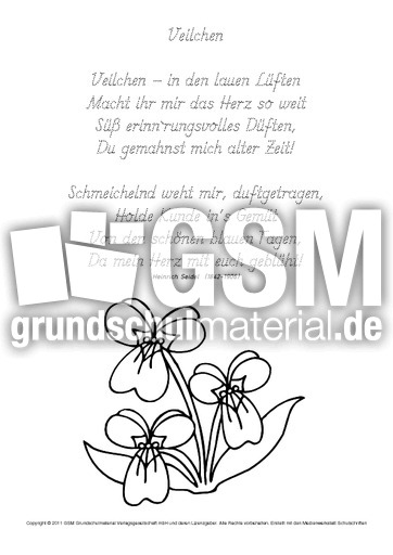Nachspuren-Veilchen-Seidel-GS.pdf